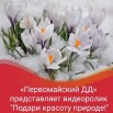 Скриншот 22-03-2022 164515.jpg