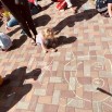 vhAdNqo_a1NFRgsQd28k2f0rwdADBPXzfxKzpJ6Dki7sVL3kpVPY2B_nsSAxOGp-ACkr4kAPAxHzKB2POU9IlBn2.jpg