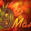 Без названия.jpg