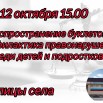 12.10 Распространение буклетов.jpg