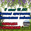 8 июля игровая.jpg