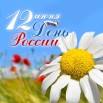 ромашка день России.jpg