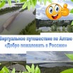 Презентация Microsoft PowerPoint.jpg