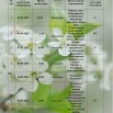 май_page-0001.jpg
