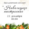 22.12. концерт нг.jpg