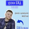 10.03. бжд.jpg