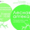 03. аптека.jpg