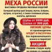 Афиша шубы.jpg