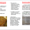 сттандарт алф каталог.png