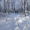 IMG_20260126_153810_738.jpg