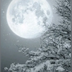 2026-02-25_15-40-22.png