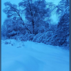 2026-02-25_15-37-51.png