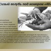 92.jpg