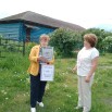 433.jpg