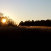 2025-10-14_14-53-01.png
