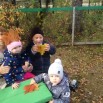 IMG_4479-18-09-23-02-32.JPG