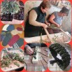 PhotoCollage_1732730067781.jpg