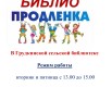 В-Грудкинской-сельской-библиотеке.jpg