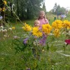 IMG_20240801_145447.jpg