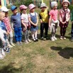 image-2023-06-08 11_39_58.jpg