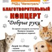 afisha_na_16_noyabrya_24g.jpg
