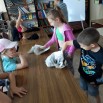 IMG-20250616-WA0007.jpg
