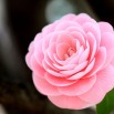 a6debc0f-c550-5661-9344-18e1560222f5.jpeg