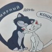 20230301_100351.jpg