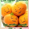 c2cc3ae998cc373420ea57f4d9de9445.jpg