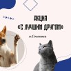 XO4JAgdJaLrENf325KYp8uMs2aRVRIguaDCc6trlq5UGYP89enI3_Y0WX4QhFF1bnaiVZE5jHMjVqBv-i8dcirkM.jpg
