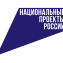 Нац_проекты.png