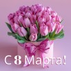 тюльпаны.jpg
