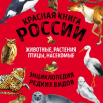 кр книга.png