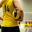 volleyball-520093_1280.jpg