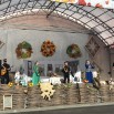 IMG_5168.jpeg
