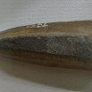 Наконечник каменного копья (1).jpg
