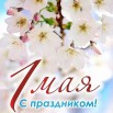qI7Vzl6HbmAkhHqJ6tcZwbzV7fLUCM2ItMbMtgGqb5JLKs_gf_IUEjhqSjySUxHeXoIv9aMhoBtzzW5Vq2On_B7M.jpg
