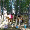 IMG_20250719_091601.jpg