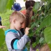 Изображение WhatsApp 2025-07-08 в 11.47.31_38137887.jpg