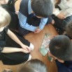 15.07.25 Игра-викторина Да, мы кошки, но очень большие (7).jpg