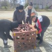 Изображение WhatsApp 2025-05-07 в 11.58.55_9d9a2213.jpg