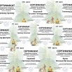 Презентация Microsoft PowerPoint.jpg