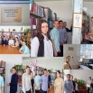 Презентация Microsoft PowerPoint.jpg