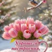 -a22jq1r0aqv38d1kv13FeW199XosacUOqkbHmNxoT_xezYkNGBzfY__KV1c3cmWJJWsnf7nuhWFQcA-pxNkU02b.jpg