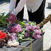 IMG_7092_обработано.JPG