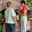 IMG_7382_обработано.JPG
