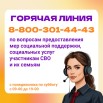 Приложение_4_горячая_линия_по_МСП.jpg