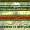 Природа Сибири.jpg