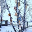 Скворечники.jpg