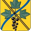 герб г.Каргата.jpg